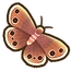 Little Wood Satyr Butterfly