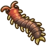 Centipede