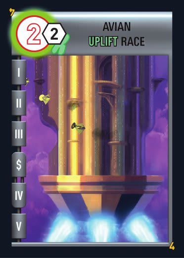 Avian Uplift Race