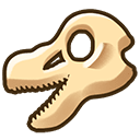 Velociraptor Skull