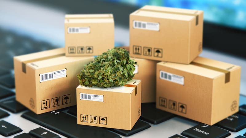 Sustainable and Stylish Cannabis Seed Packaging