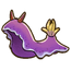 Sea Slug