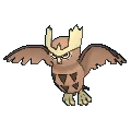 Noctowl