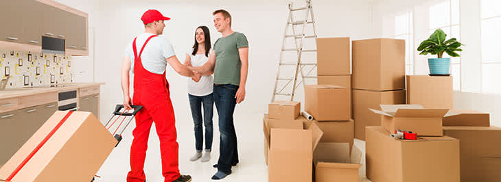 Western Removals