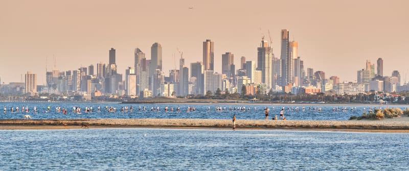 Brighton Pier (City View)
