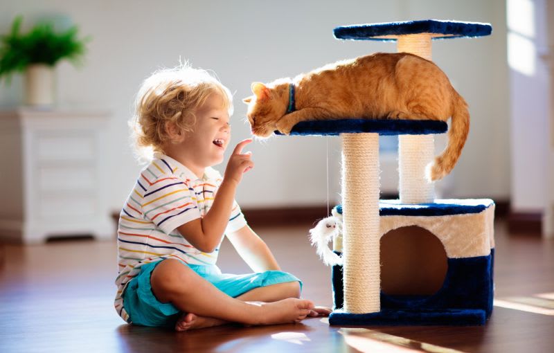 Arrange for child and pet care