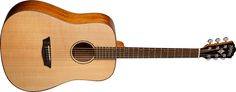 Washburn WD150SW