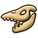 Mosasaurus Skull