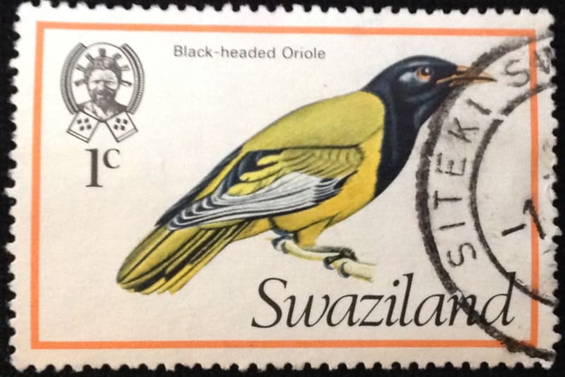 Swaziland