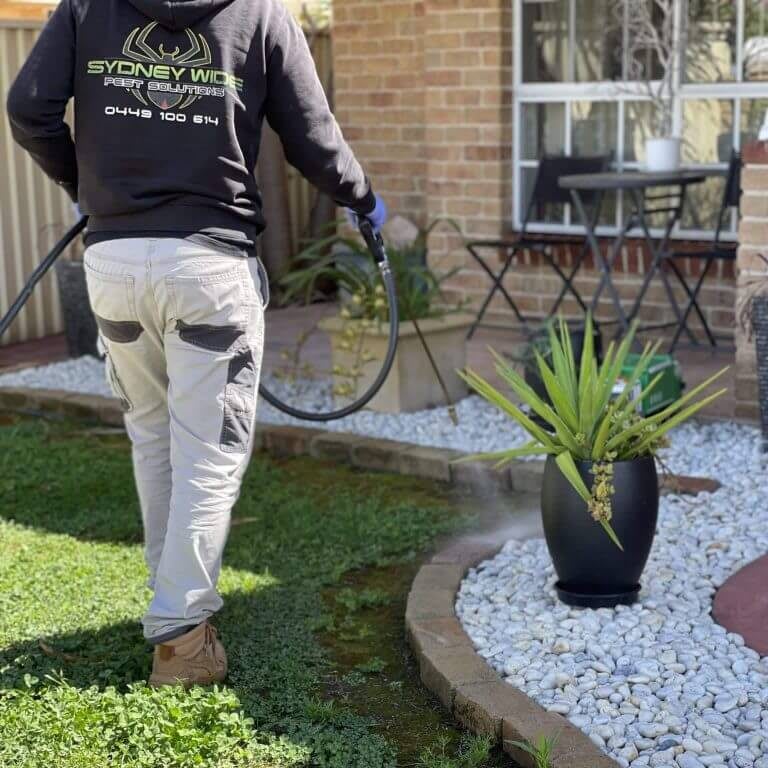 Sustainable Solutions for Water Conservation: Water Barrels, Rainwater Harvesting Systems, and Large Terracotta Plant Pots