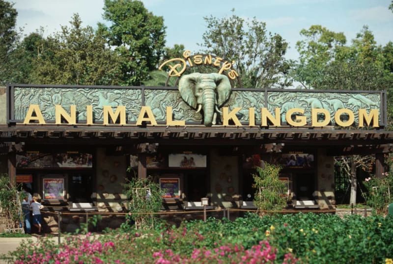 Disney's Animal Kingdom