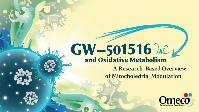 GW-501516 in Lab Studies: Analyzing Its Effects on Endurance and Mitochondrial Health