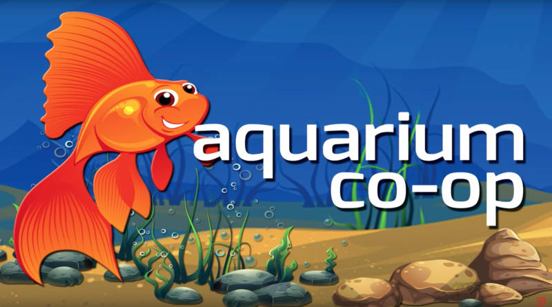 Top 10 Aquarium Fish for Beginners (Demo List)