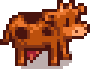 Brown Cow