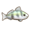 マウスオールマイティ