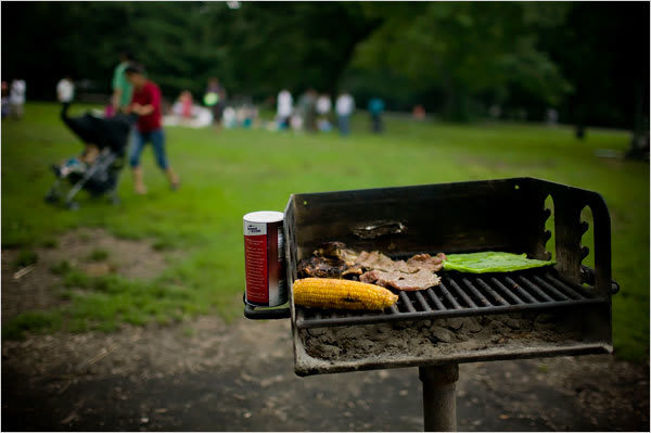 BBQ in the park eoaeoaeoa