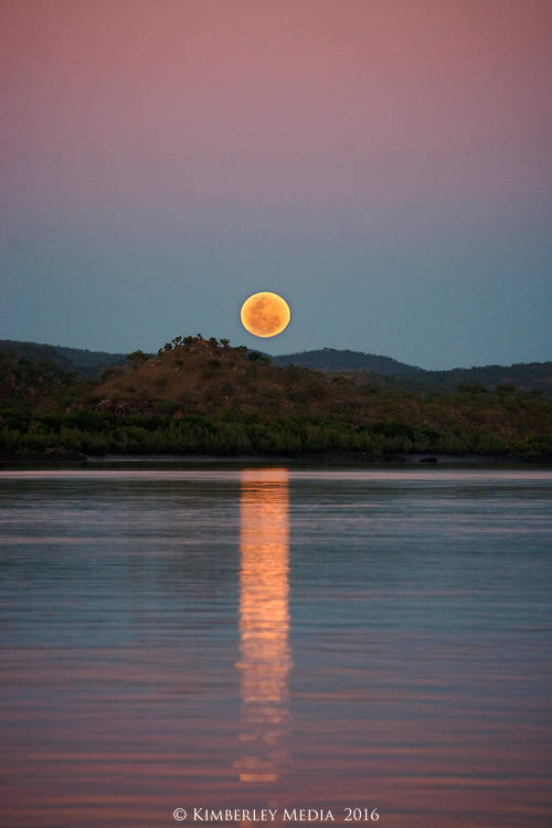 Staircase to the Moon