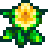 Daffodil