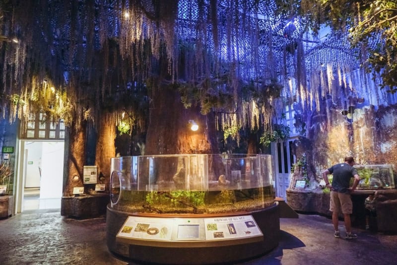 Audubon Butterfly Garden and Insectarium