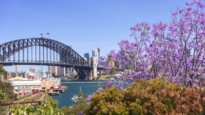 Romantic stroll through Lavender Bay