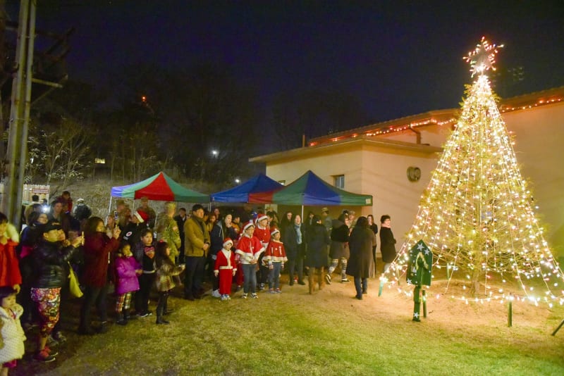 Attend a tree lighting ceremony