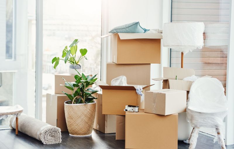 10 things to keep in mind while comparing moving quotes