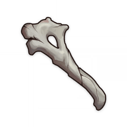 Fragile Bone Shard