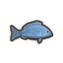 ブルーフィッシュ