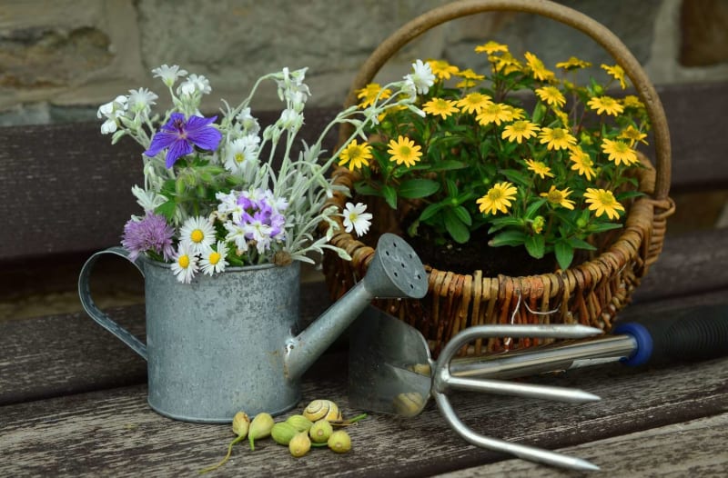 Monthly Gardening To-Do List