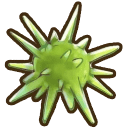 Green Urchin