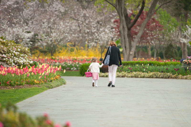 Visit a botanical garden or park