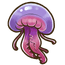 Mauve Stinger Jellyfish