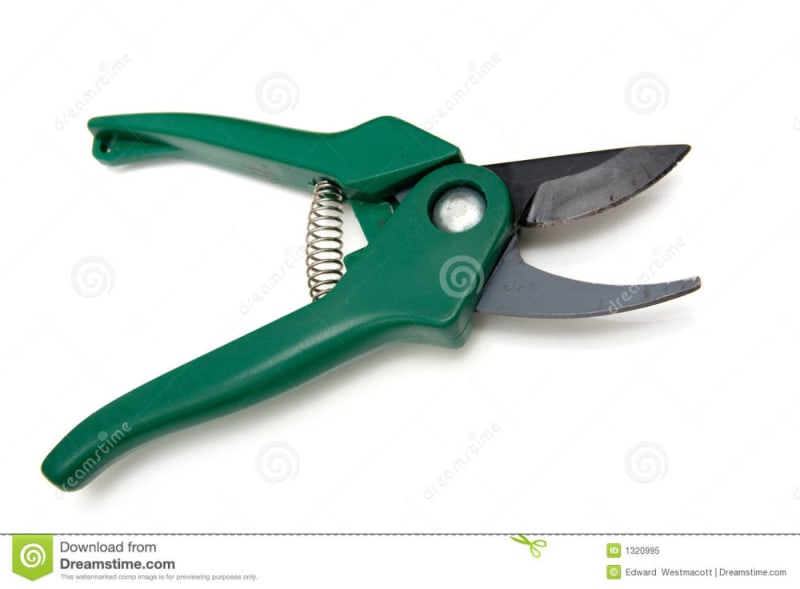 Secateurs
