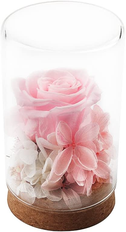 Handmade Preserved Flower Rose - Idea Gift for Girls, Never Withered Roses, Eternal Rose for Her, Gift for Valentine's Day Anniversary Christmas Birthday Wedding Holiday Present - Pink Rose