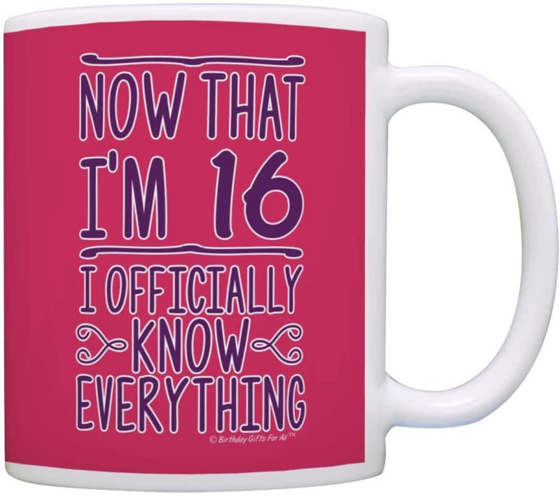 Now That I'm 16 Officially Know Everything Gift Coffee Mug Tea Cup Pink