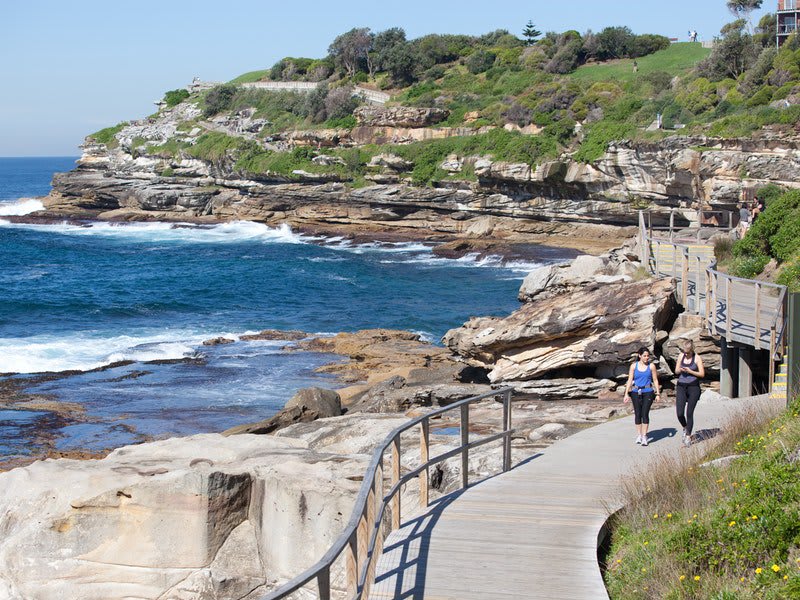Bondi to Coogee Cliff Walk