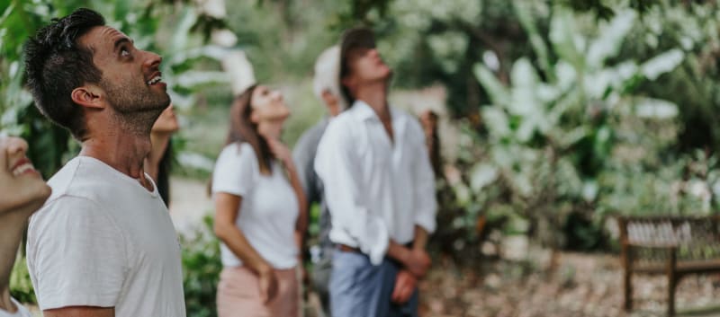 Take a guided tour of the Royal Botanic Gardens