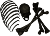 Grandmother Zingler's Bones
