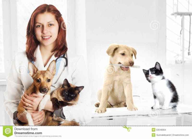 Name of a veterinarian