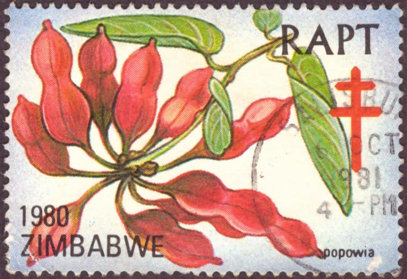 Zimbabwe