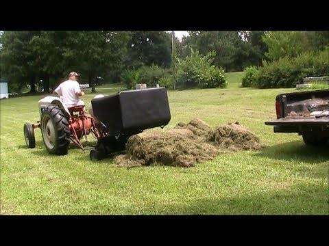 Lawn Clippings