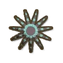 Eleven-armed Sea Star