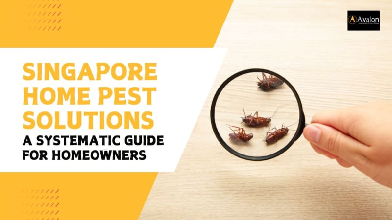 How to Make Your Workplace More Rat-Resistant