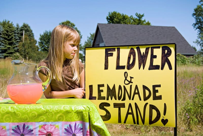 60+ Jobs for 11 Year Olds To Earn Pocket Money!
