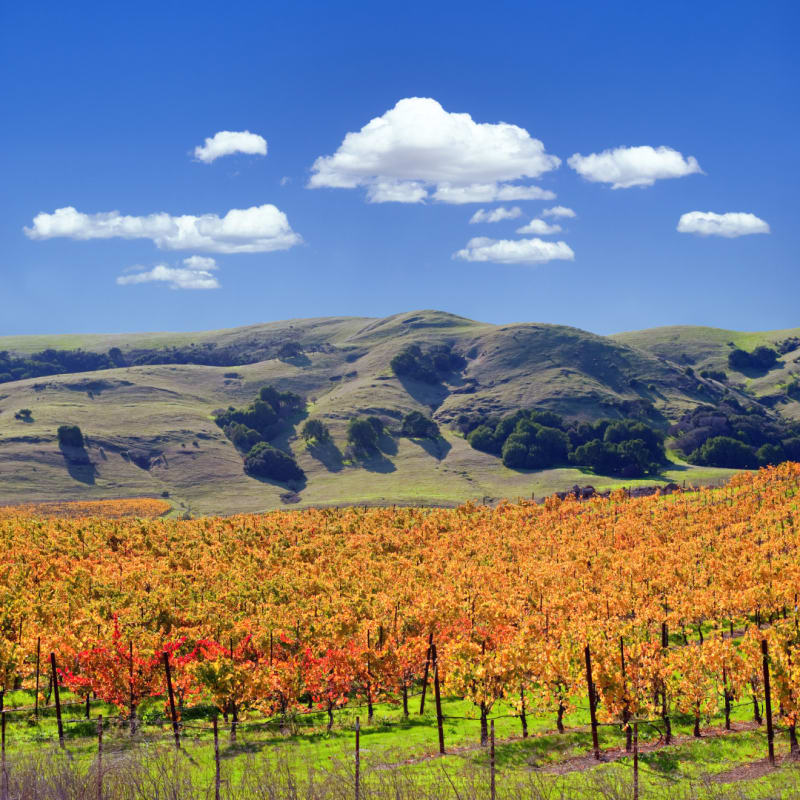 7 Best Places to Visit in Healdsburg, California