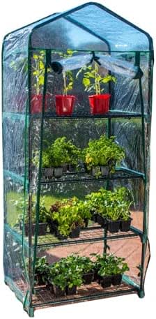 4 Tier Greenhouse with Misting Kit Ideal for Creating a Humid Environment to Growing Plants from Seeds and Propagating Cuttings