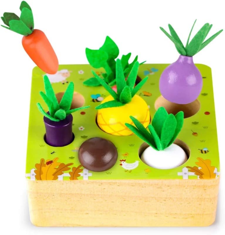 Shape Sorting Vegetable &Fruits Fine Motor Skill Toy