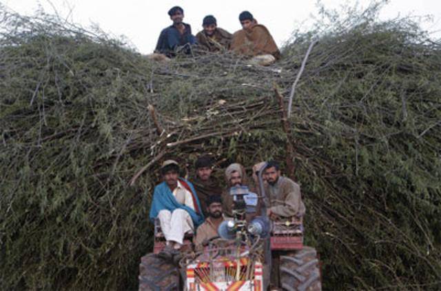 Multi Utility Vehicle (MUV)