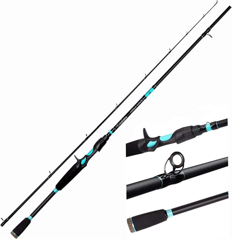Bass Fishing Rod