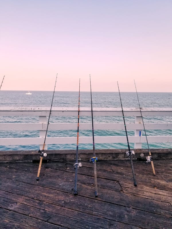 Premier Spinning Rod - Best ultra light fishing rods by @Fishing_Diary -  Listium